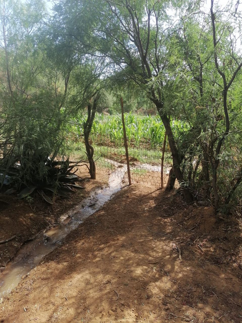 Detectan Otra Toma Clandestina De Agua NTR Zacatecas