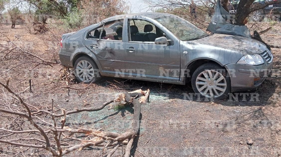 Automóvil sale de la carretera y se impacta contra un árbol NTR Zacatecas