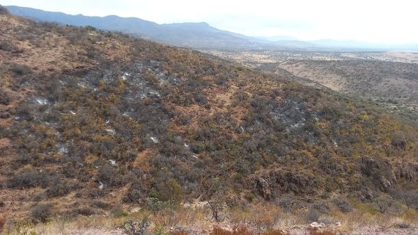 Logran sofocar incendio en La Tinaja