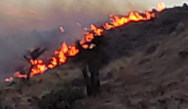 Se incendia cerro en Las Chilitas