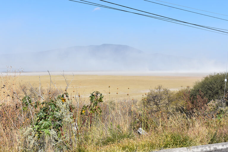 Causan ráfagas de viento primeras pérdidas en el campo