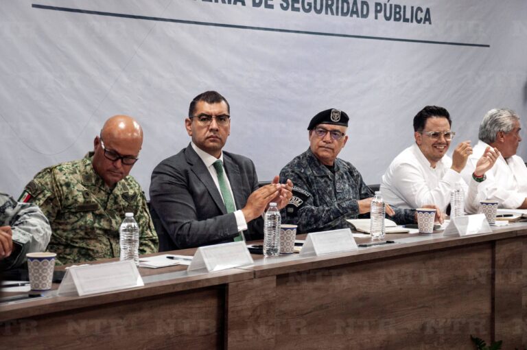Presenta consejo plan de prevención del delito