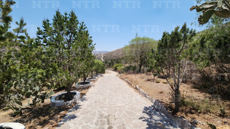 Afectan altas temperaturas a Ecoparque Centenario