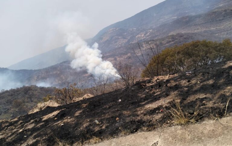 Avanza incendio hacia Guadalajara; ha consumido mil 512 hectáreas