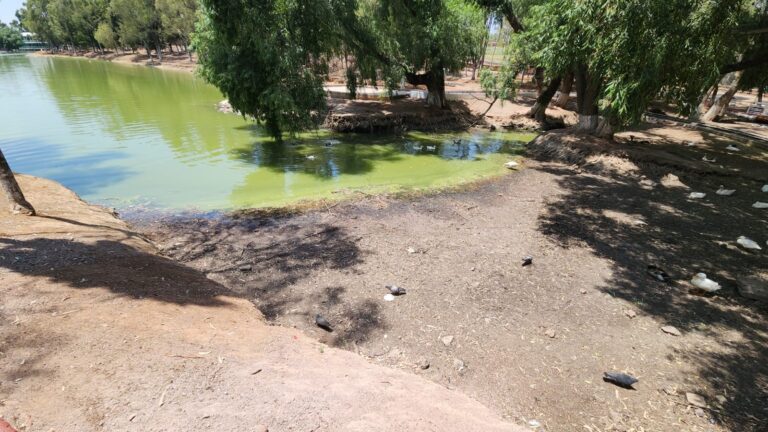 Se seca lago La Encantada