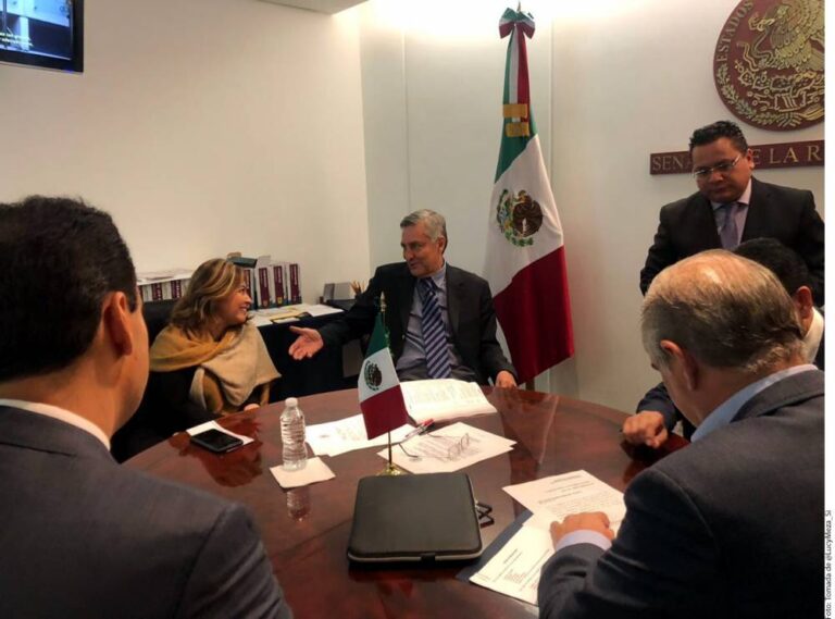 Sin línea para coordinar Morena: Arias