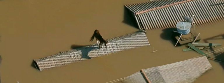 Suman 143 muertos por inundaciones en Brasil