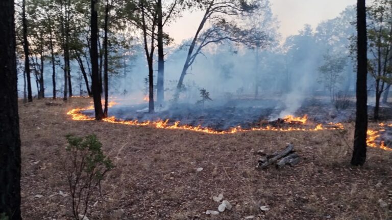 Incendios imparables en Valparaíso