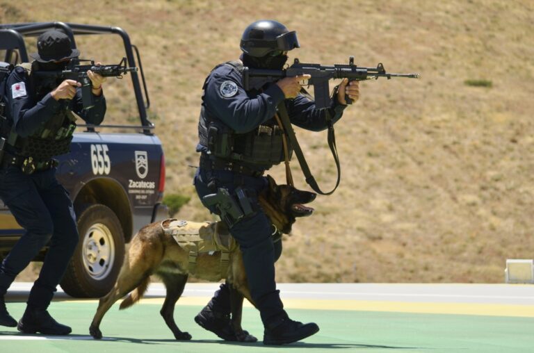 Suejetos armados agreden a PEP en Tabasco
