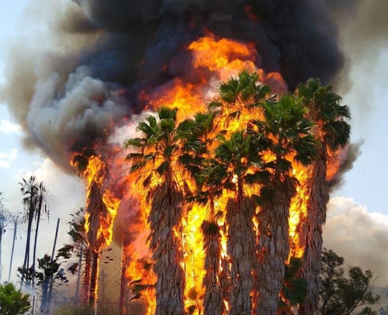 Consume incendio Unidad Deportiva de Juchipila