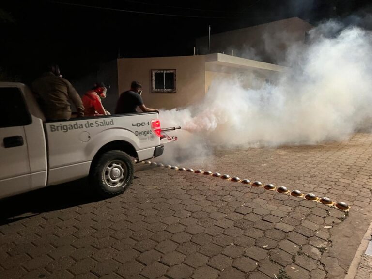 Detectan primer caso de dengue autóctono