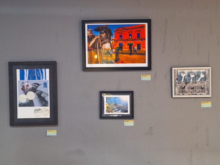 En exhibición, muestra del pasado y presente