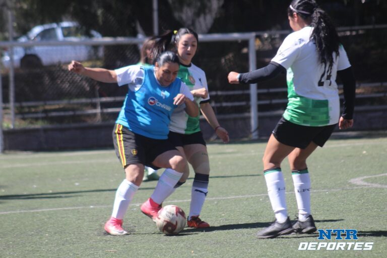 LFF entra en etapa de liguilla
