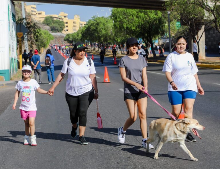 Prevén reubicar los Domingos Familiares