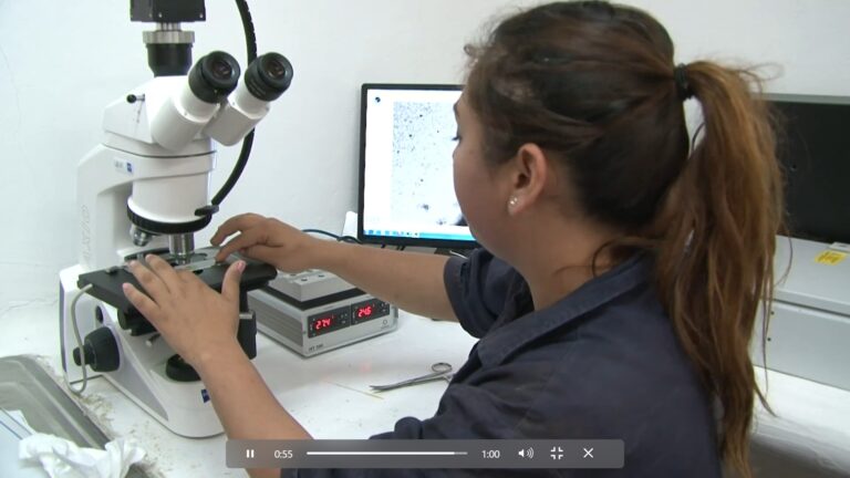 Promueve Sader inseminación artificial