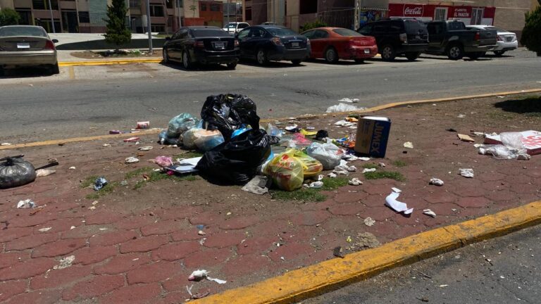 Denuncian presencia de basura y muebles en el Olivar