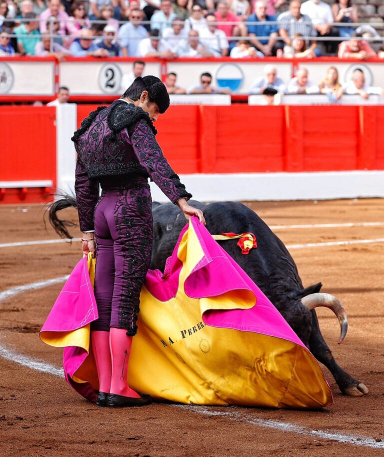Las espadas privan del triunfo a Perera y Luque