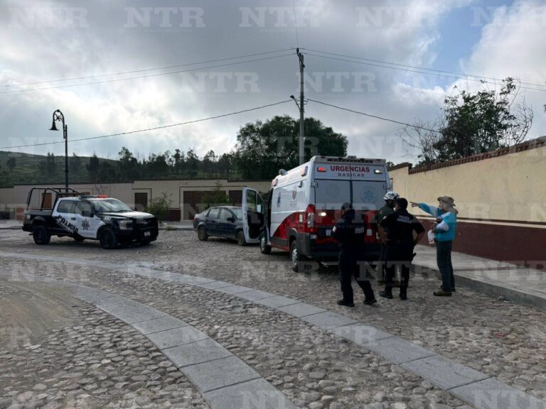 Enjambre de abejas ataca a mujer; recibió 40 piquetes