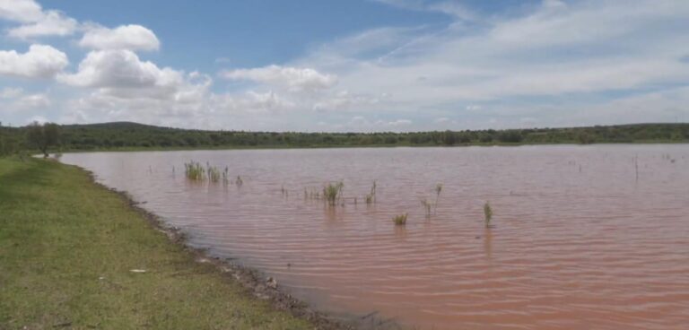 Lluvias favorecen a presas de El Mineral