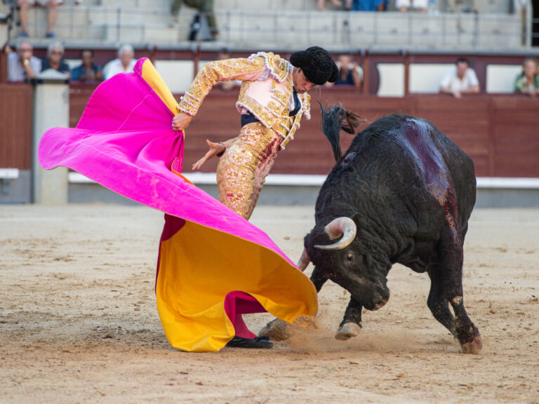 Adrián de Torres pasea una oreja en Madrid