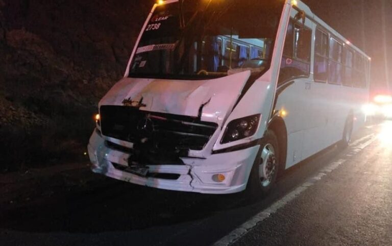 Choca autobús contra una vaca en el bulevar Bicentenario