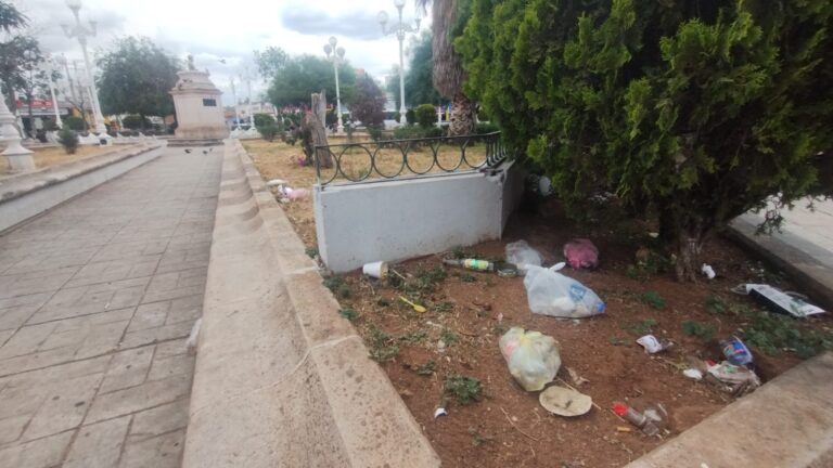 Denuncian abandono de jardín González Echeverría