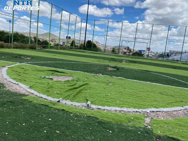 En el abandono, cancha del Parque Hundido