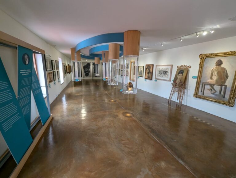 Celebra Museo Zacatecano su 29 aniversario
