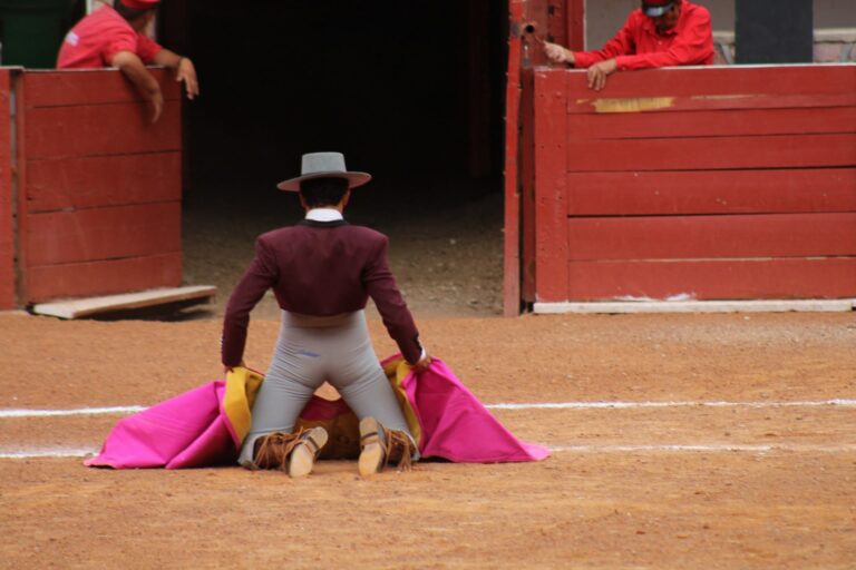 Concluye mañana el Ciclo Cultural Taurino