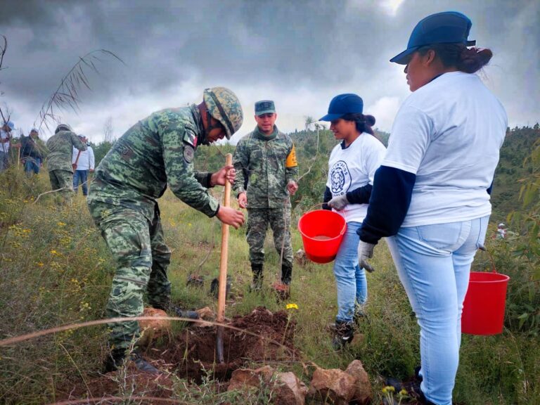 Culmina programa de reforestación