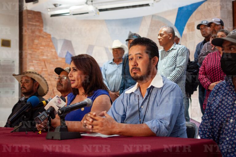 Denuncian ecocidio ejidatarios de Pinos
