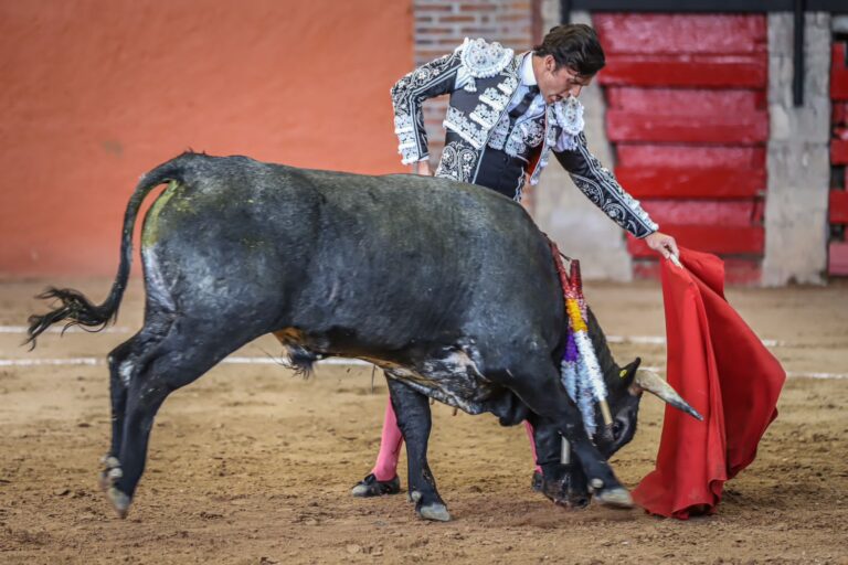 Neyra, tres orejas en España