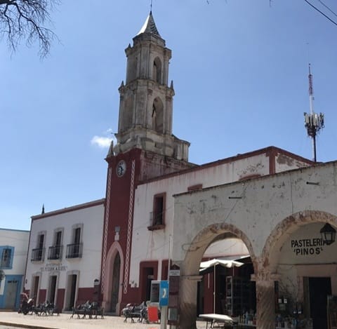 Temen por violencia en Pinos
