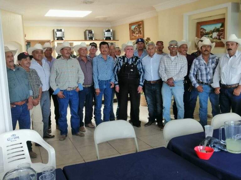 Estiman productores baja cosecha de frijol