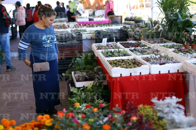 Inicia la segunda ExpoPlant Zacatecas