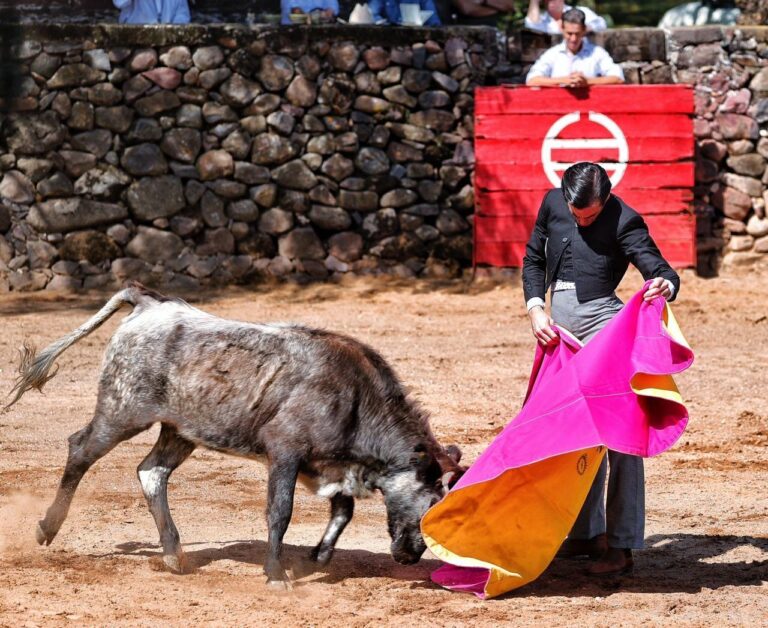 Realizan labores de tienta en La Antigua