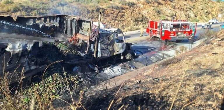 Registran incendio a tractocamión que transportaba pepinos