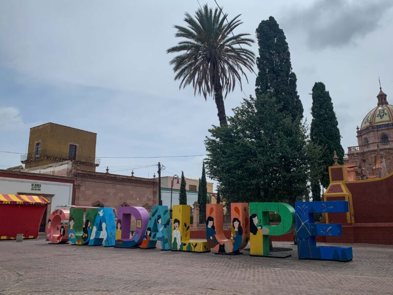 Aumenta deuda de Guadalupe con IMSS