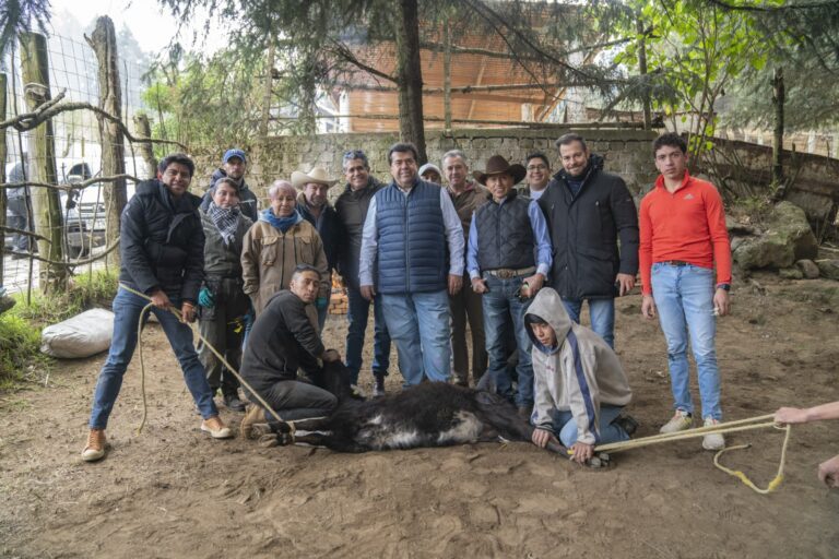 Cierra con broche de oro ganadería de Pedro Haces