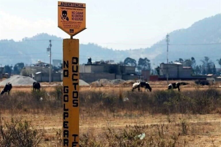 Pelea crimen siete ductos en Guanajuato y Querétaro
