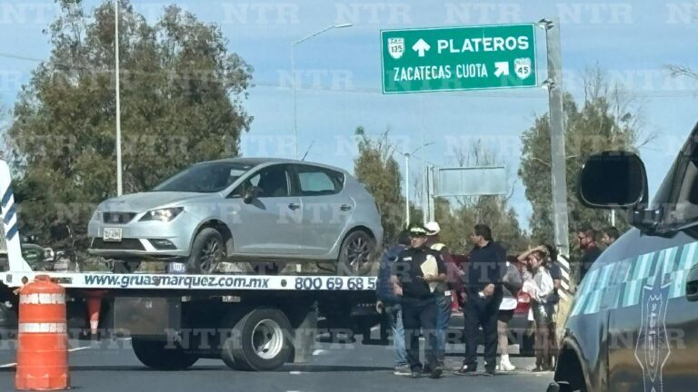 Termina automovilista sobre camellón tras esquivar a un perro