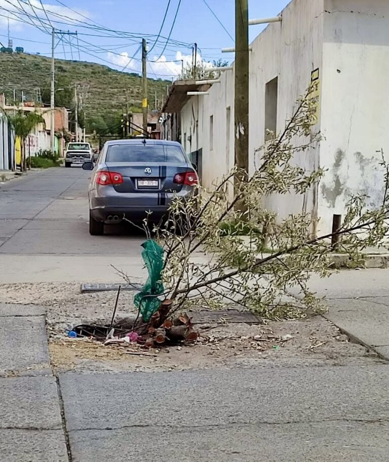 Un peligro, coladera sin tapa en la calle Manuel Acuña