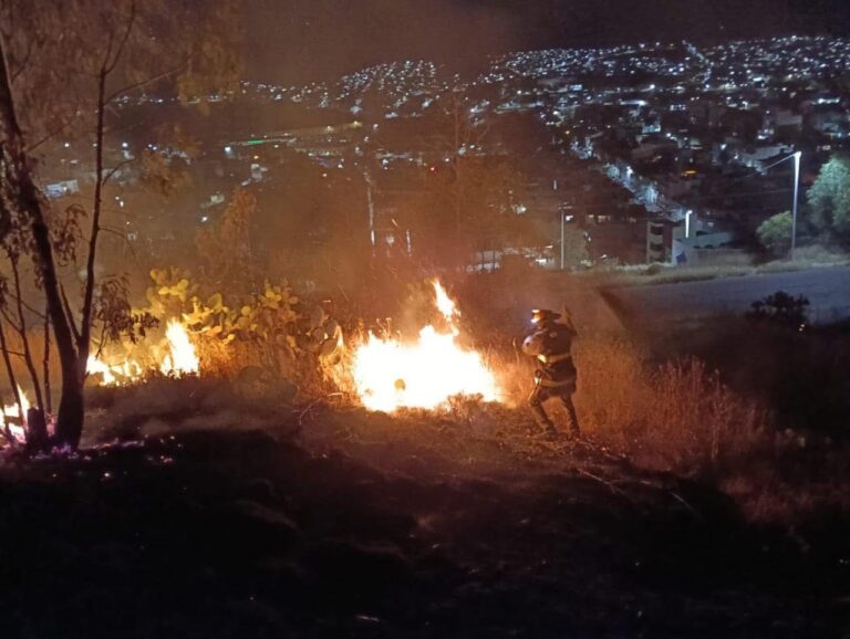Se queman 4 hectáreas tras incendio en Cerro de la Bufa