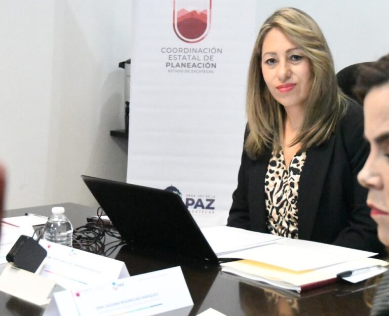 Aprueban PED en sesión ordinaria