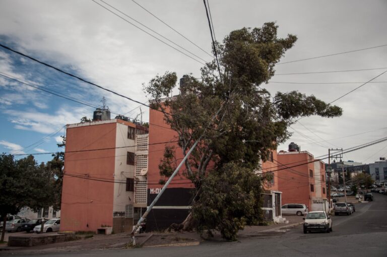 Viento causa daños en zona conurbada