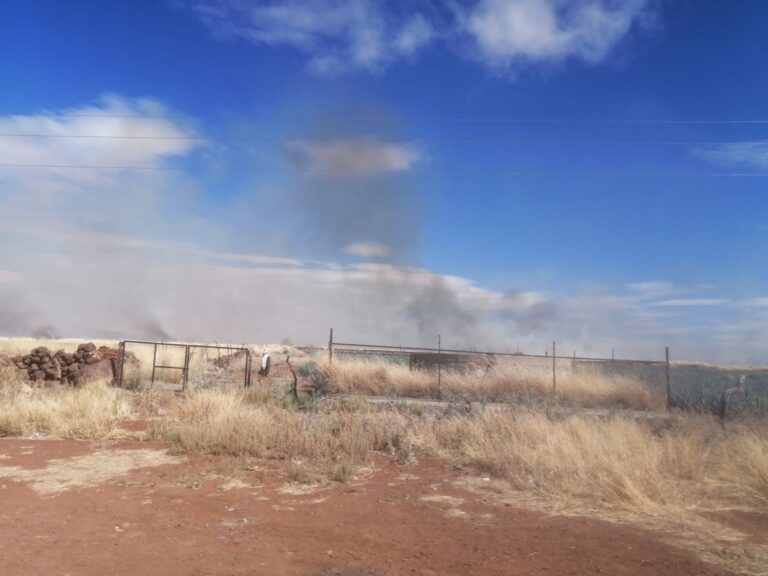 Voraz incendio acaba con 150 hectáreas de pastizal