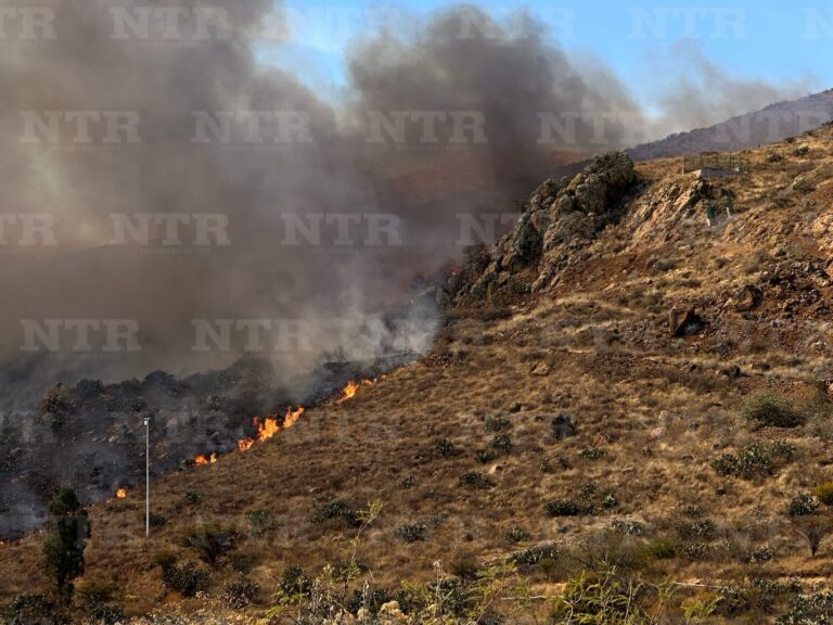 Arrasa incendio forestal con 60 hectáreas de vegetación
