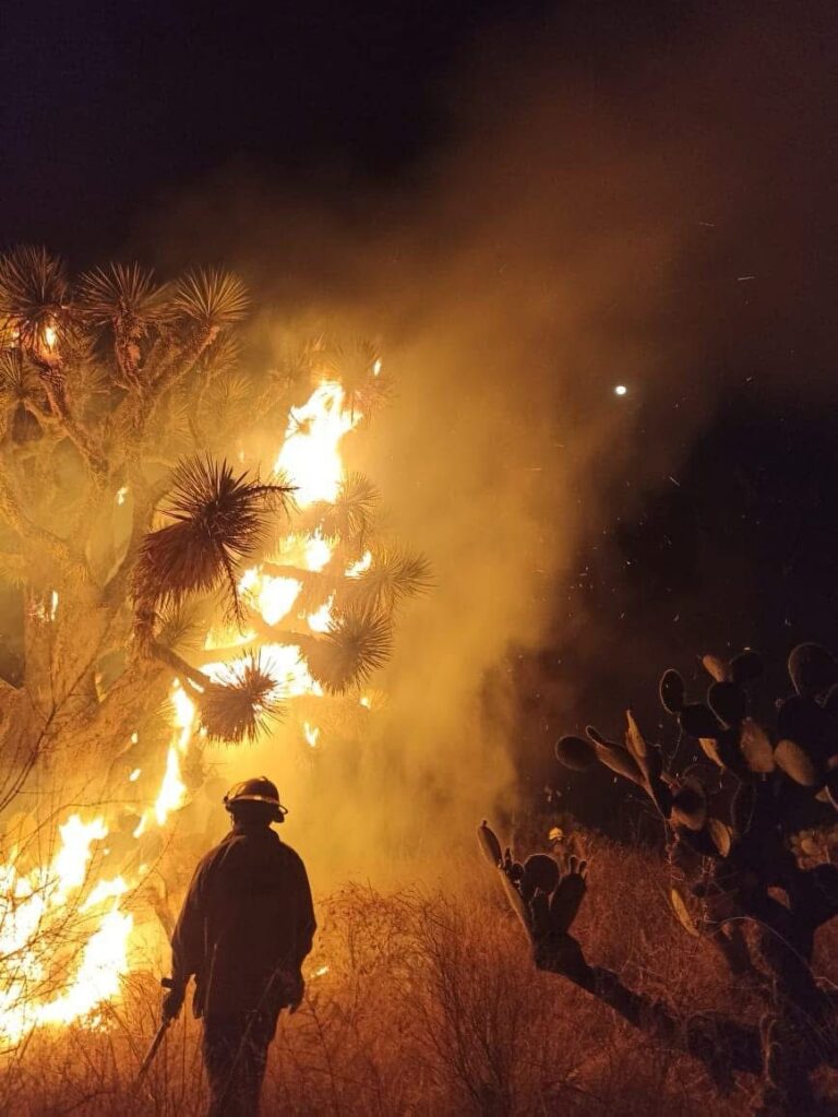 Incendio forestal arrasa con 70 hectáreas en Ojocaliente
