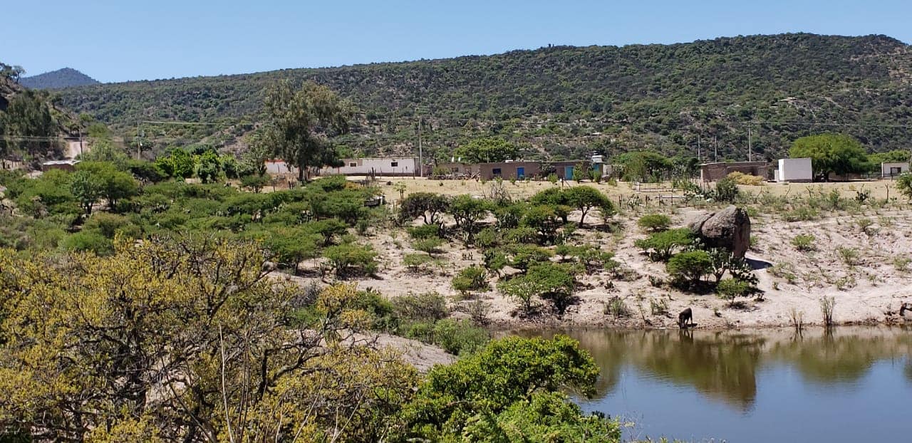 Imagen de La Sabatina 