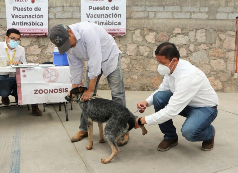 Este domingo campaña de vacunación antirrábica en Fresnillo
